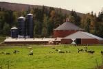 Farm-Fall 30-10-00639