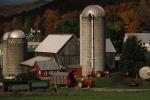 Farm-Fall 30-10-00698