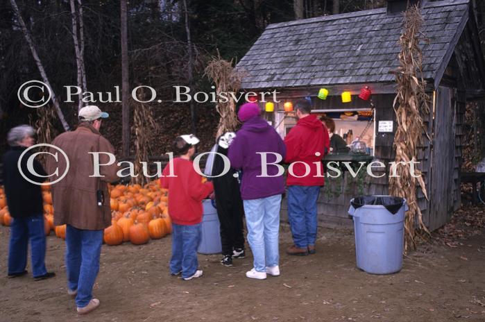 Holiday-Halloween 50-15-00119