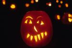 Holiday-Halloween 50-15-00126