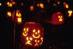 Holiday-Halloween 50-15-00133