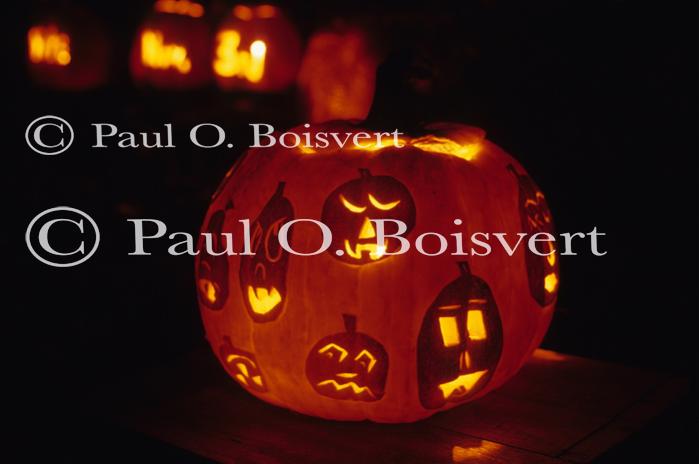 Holiday-Halloween 50-15-00140