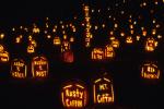 Holiday-Halloween 50-15-00153