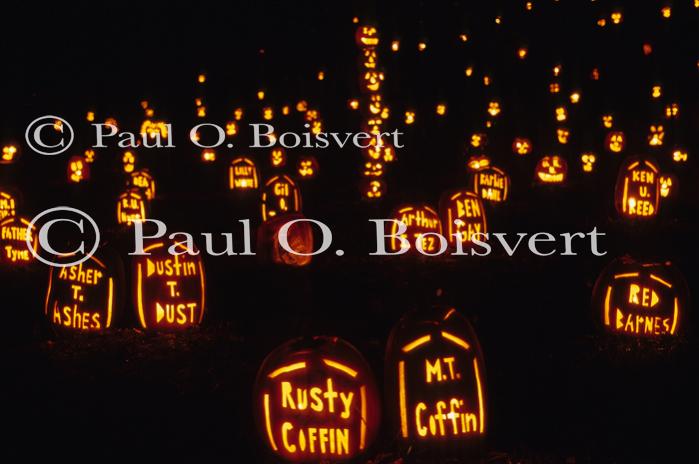 Holiday-Halloween 50-15-00153