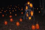 Holiday-Halloween 50-15-00157