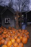 Holiday-Halloween 50-15-00164