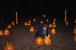 Holiday-Halloween 50-15-00171