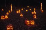 Holiday-Halloween 50-15-00173