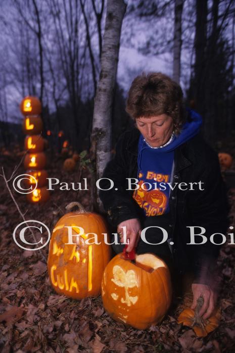 Holiday-Halloween 50-15-00186