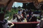 Sports-Horseback 27-78-00128