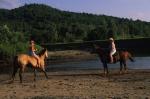 Sports-Horseback 27-78-00510