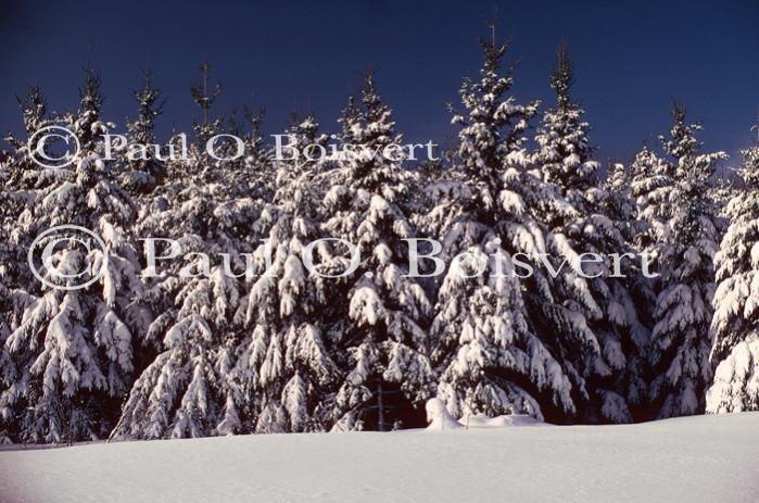 Scenery-Winter 70-30-00134