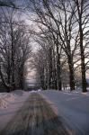 Scenery-Winter 70-30-01251