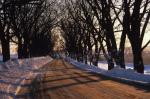 Scenery-Winter 70-30-01288