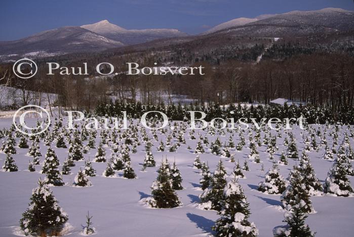 Scenery-Winter 70-30-02986