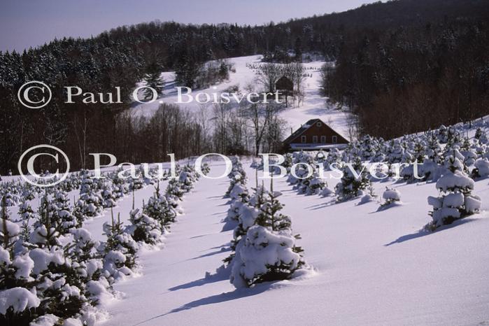 Scenery-Winter 70-30-03000