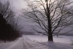 Scenery-Winter 70-30-03365